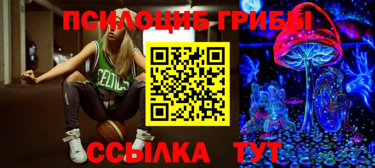 Галлюциногенные грибы GOLDEN TEACHER Медногорск